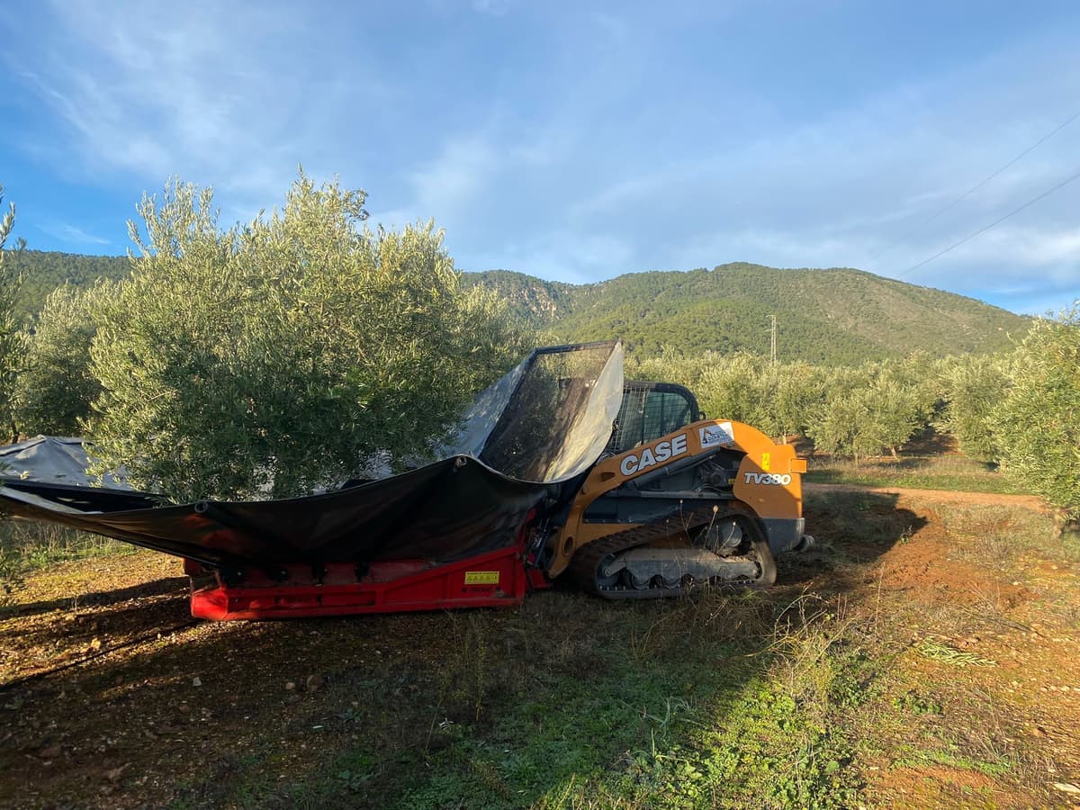 Servicios agrícolas Recogida de aceituna  website
