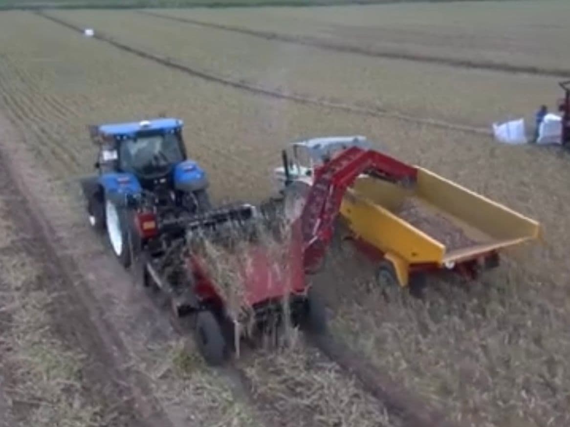 Alquiler Remolque Cigarron Albacete website