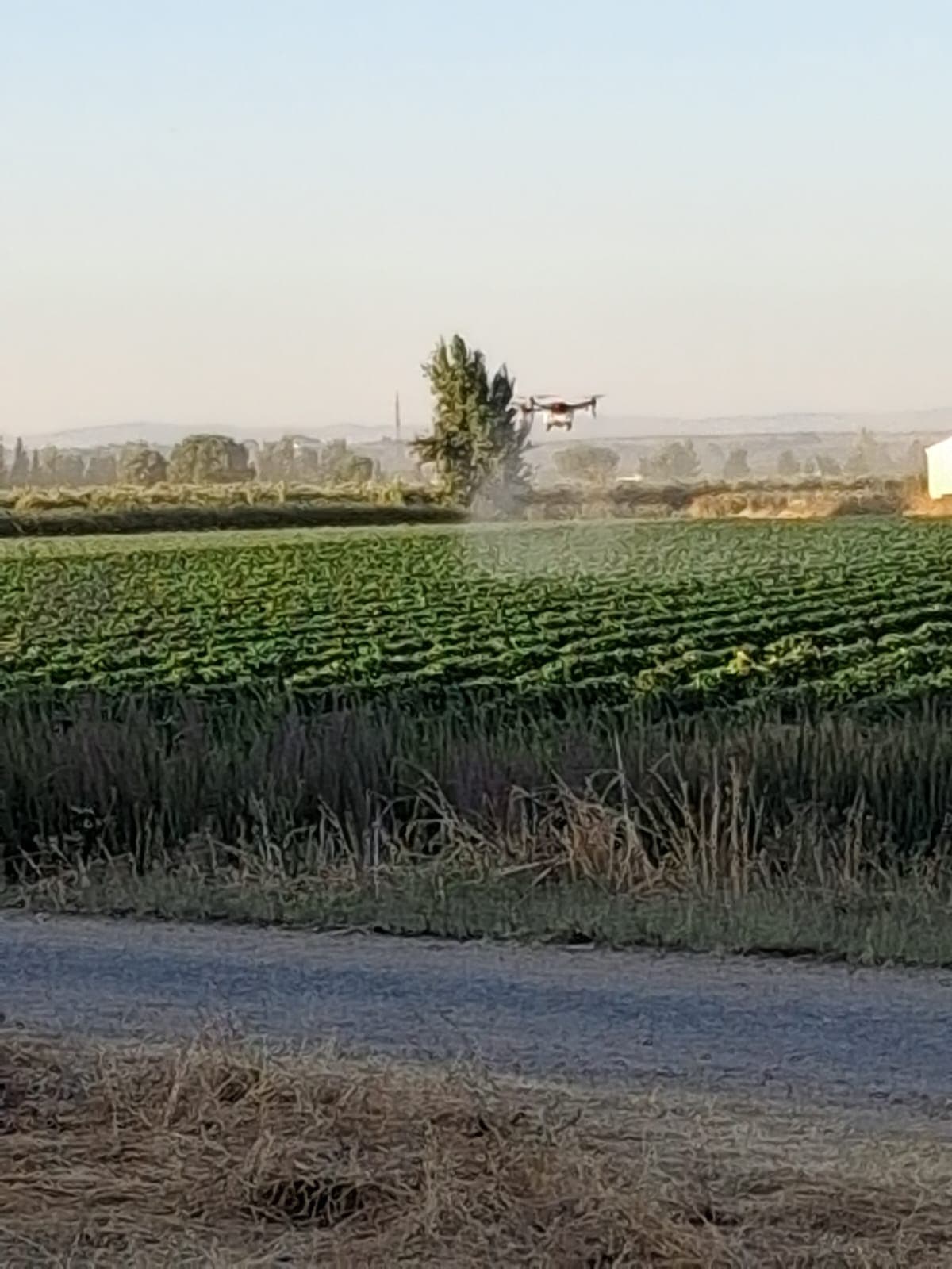 APLICACION CON DRON DE FITASANITARIOS ABONOS Y SIEMBRA website