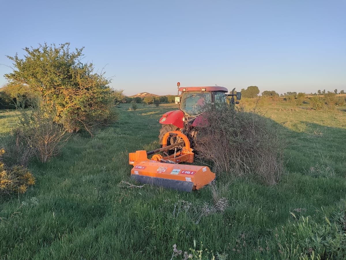 ALQUILER TRITUADORA LATERAL DE 2100mm website