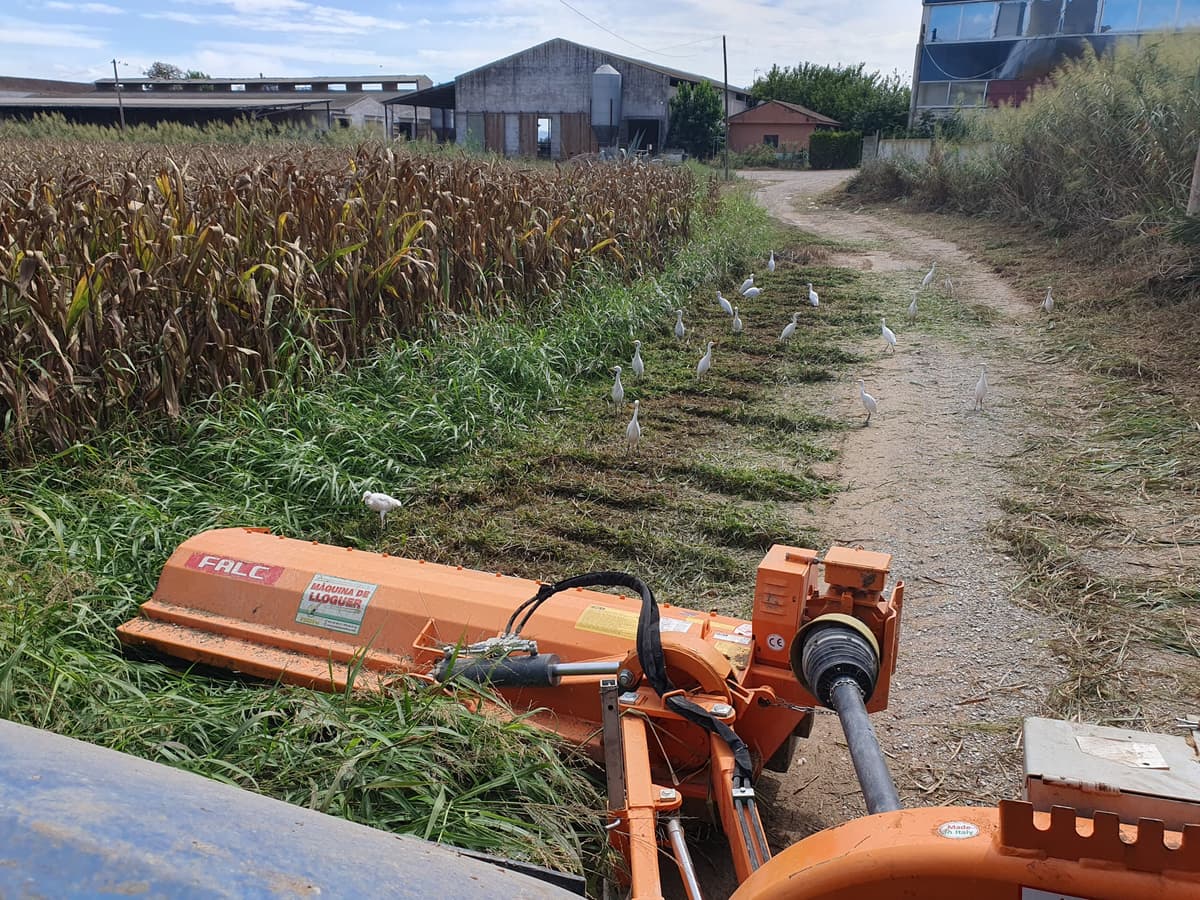 ALQUILER TRITUADORA LATERAL DE 2100mm website