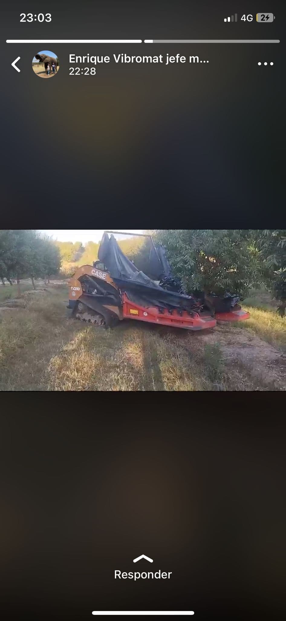 Servicios agrícolas Recogida de aceituna website